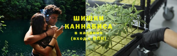 ГАЛЛЮЦИНОГЕННЫЕ ГРИБЫ Балахна