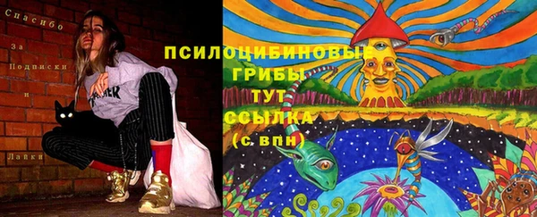 ГАЛЛЮЦИНОГЕННЫЕ ГРИБЫ Балахна